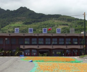 shot of the Taimali Railway Station, showing jinzhen flowers drying on the road